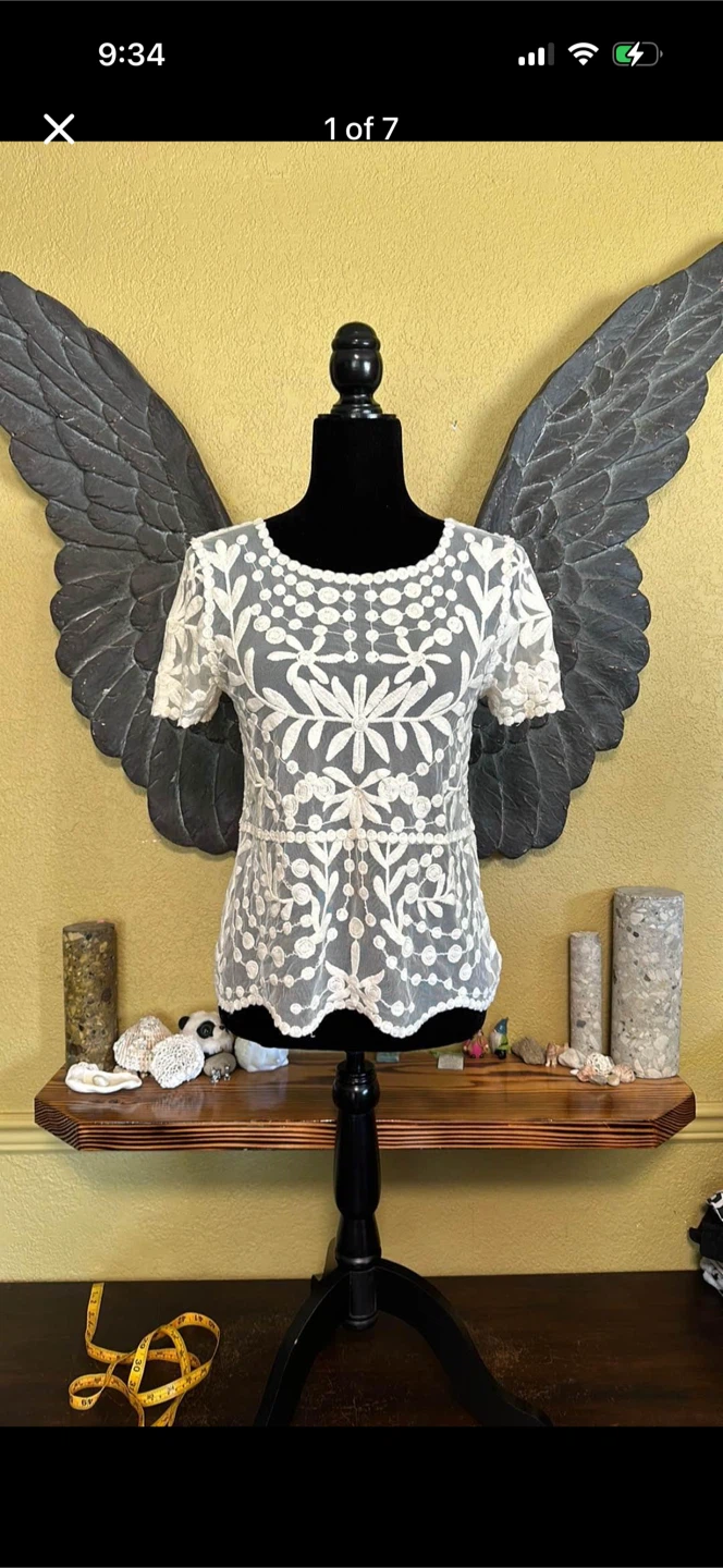 Zara Mesh Tee Shirt