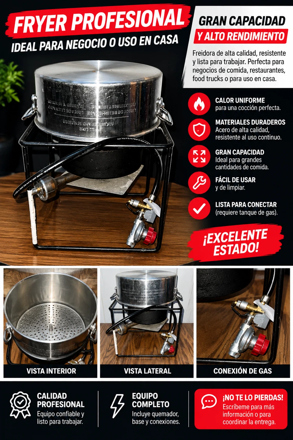 Professional Propane Deep Fryer