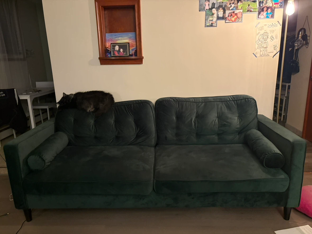 Dark green velvet sofa