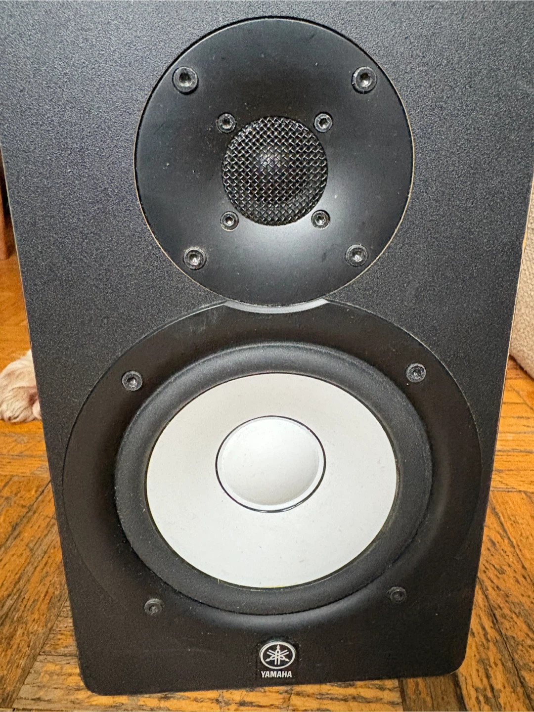 Yamaha HS50M Powered Monitor Speaker