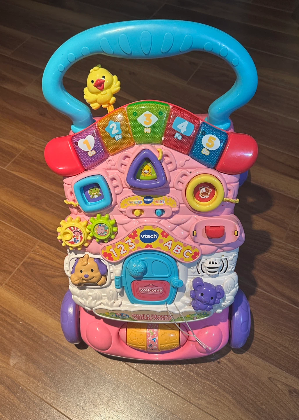 Pink VTech Stroll & Discover Activity Walker