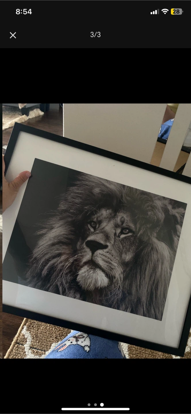 Lion Print and Leaf Wall Decor - photo 2