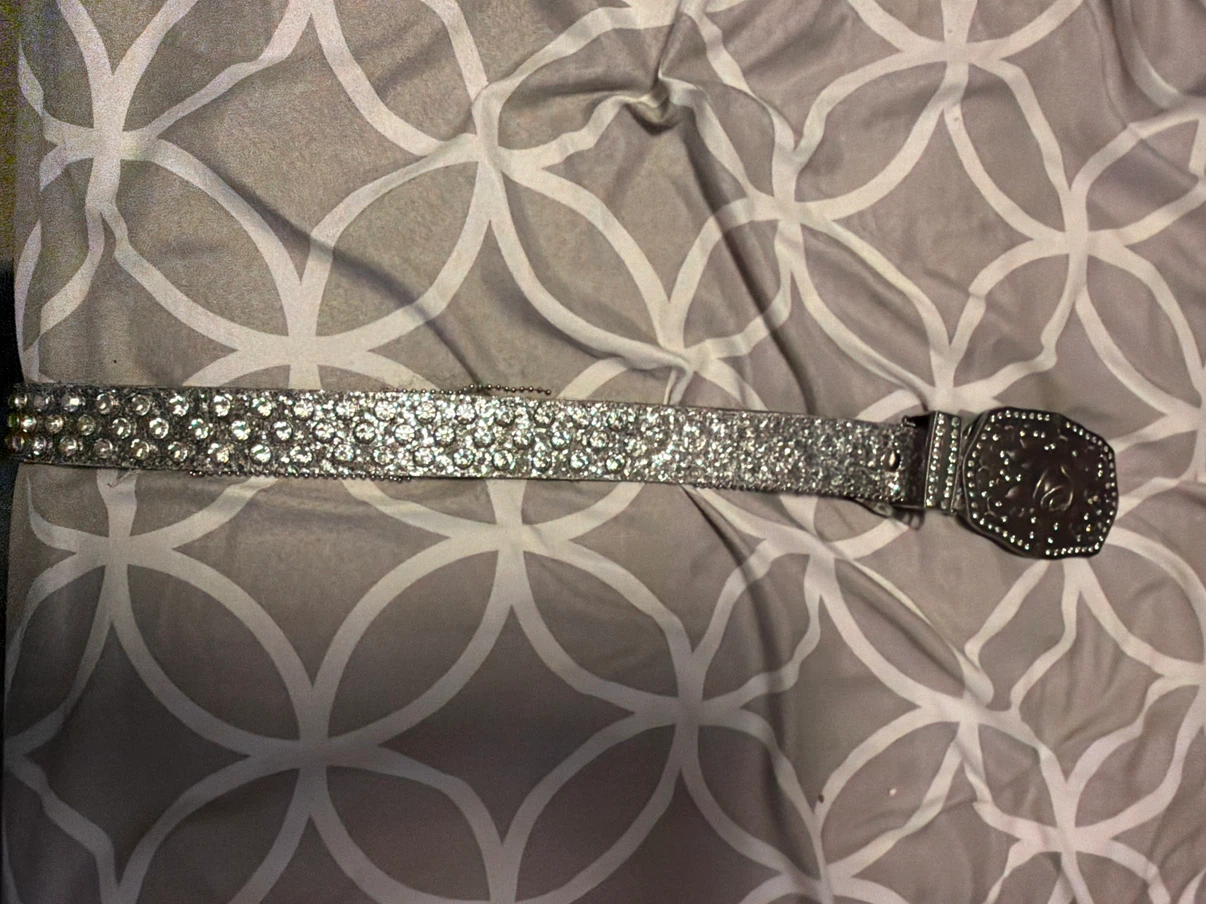 Rhinestone rose belt - photo 2