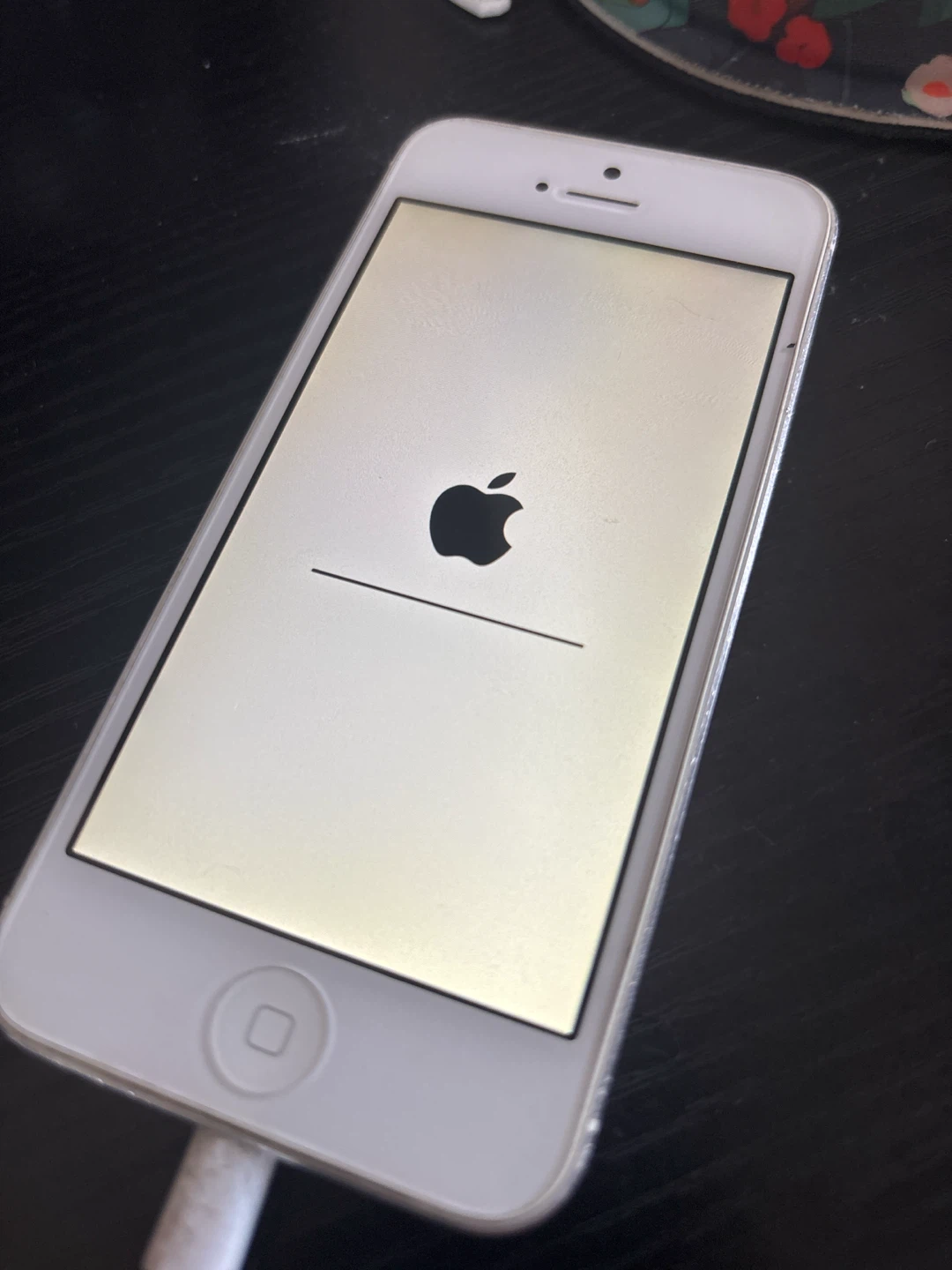 Apple iPhone 5 Model A1429 blue and white