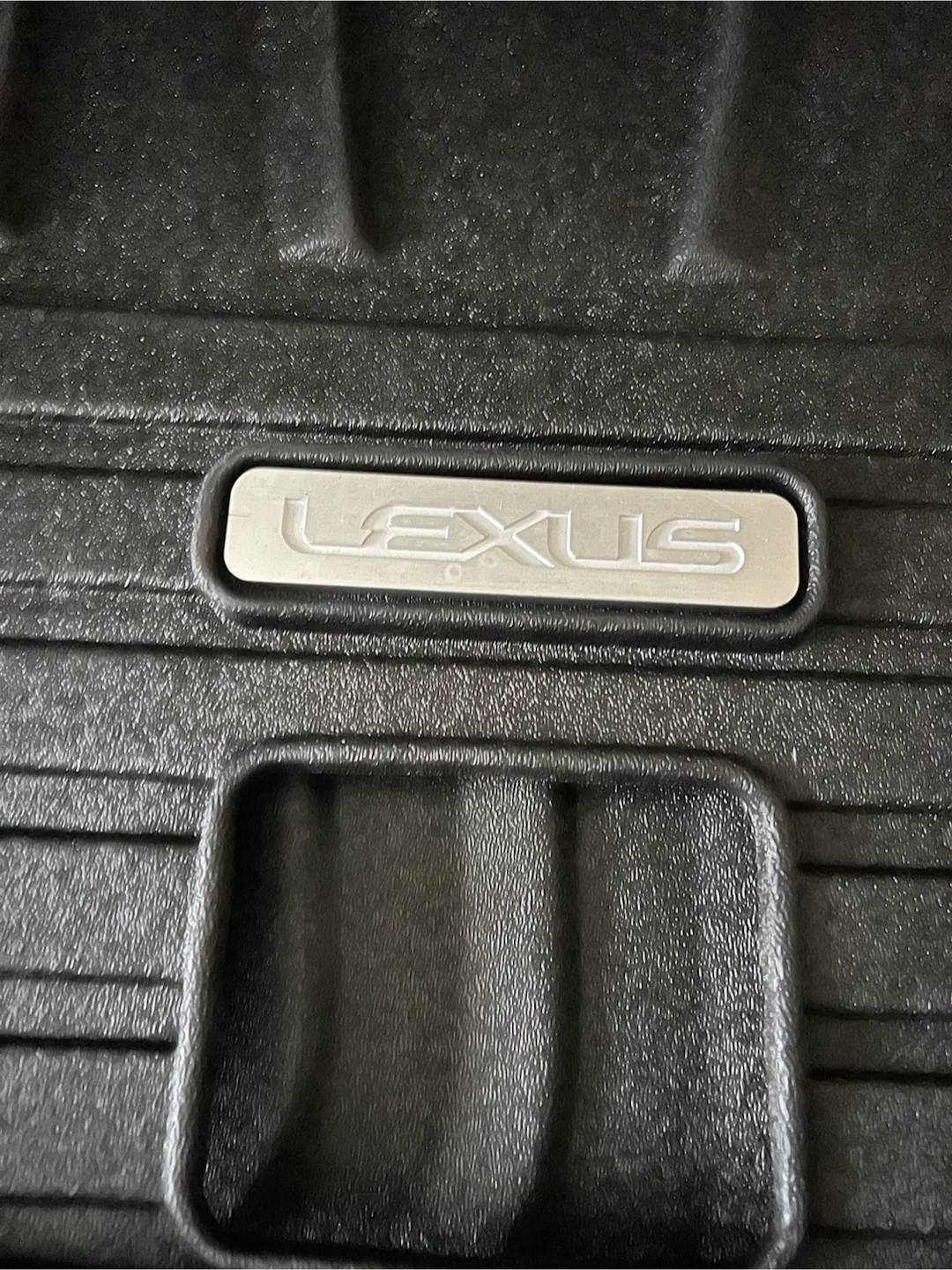Lexus OEM Cargo Mat