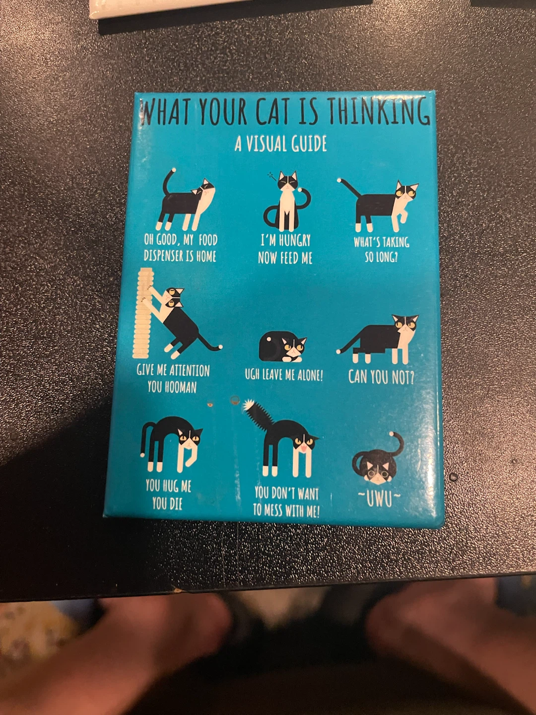What Your Cat Is Thinking A Visual Guide Magnet