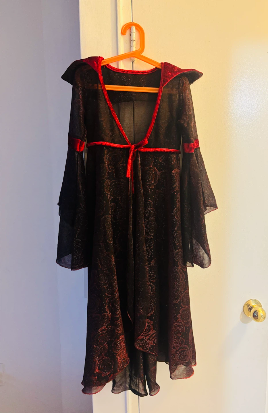 Black and Red Velvet Trimmed Costume Dress