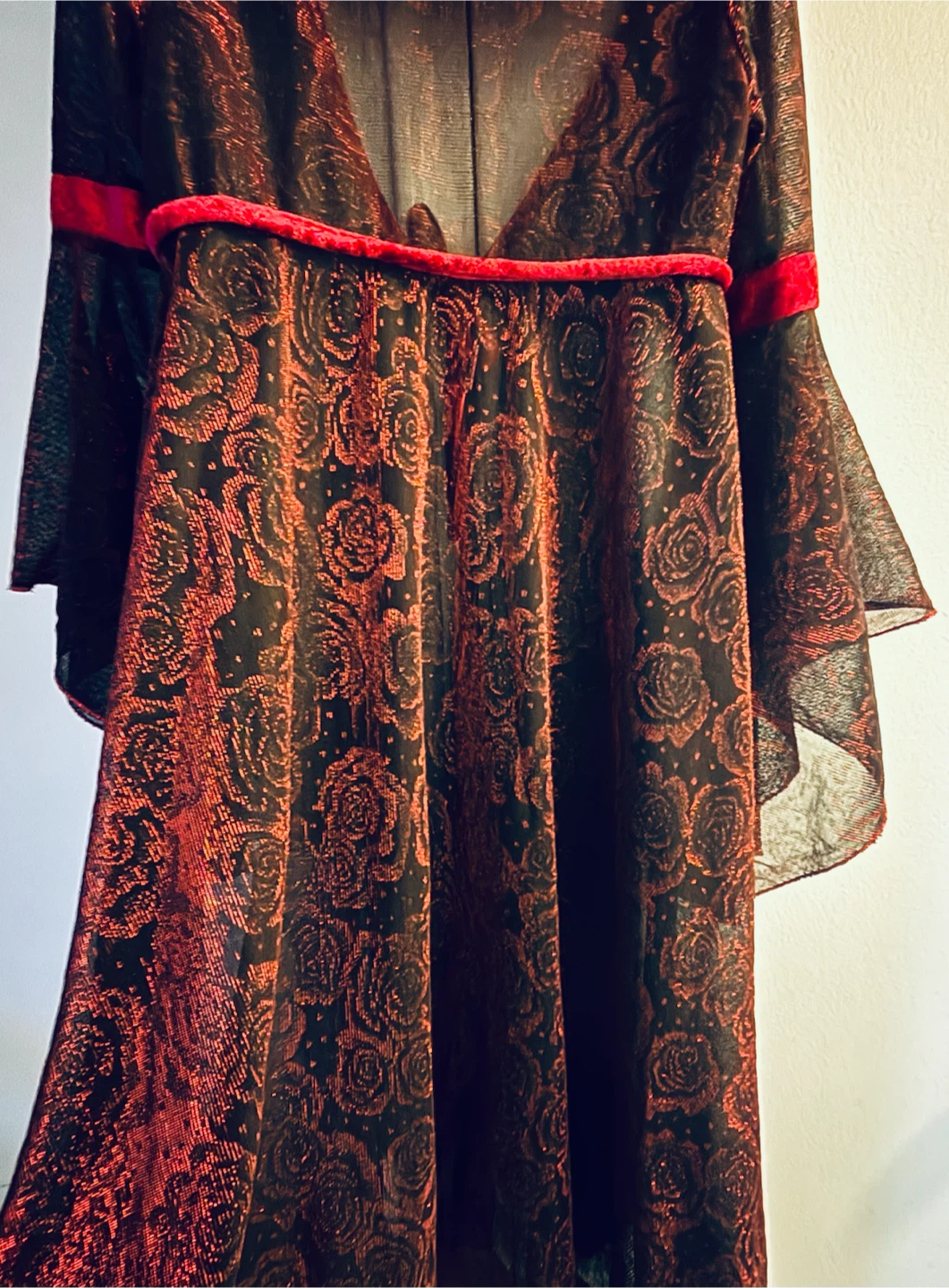 Black and Red Velvet Trimmed Costume Dress - photo 4