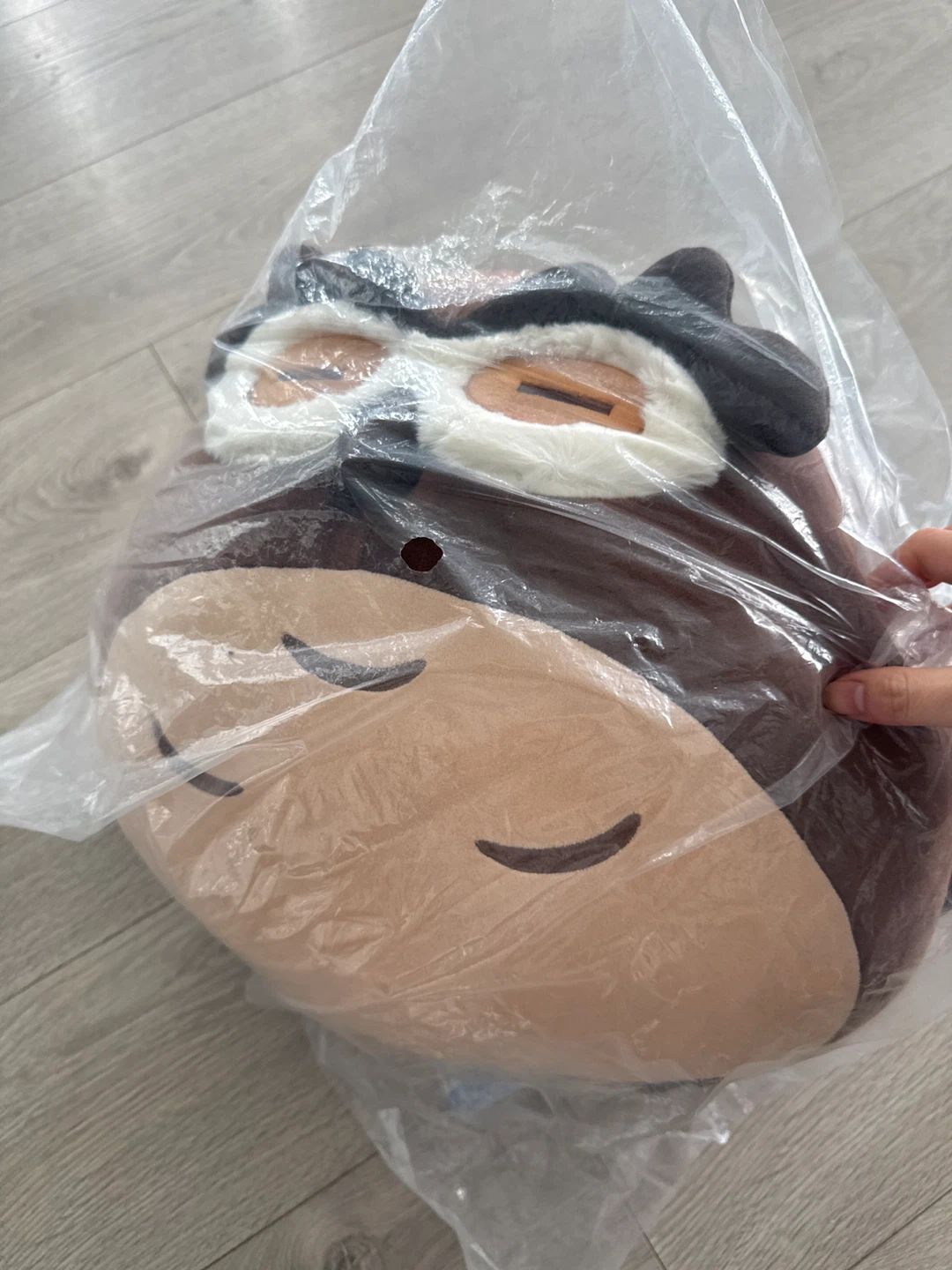 Official Genshin Impact Teyvat Zoo Diluc Night Owl Plush