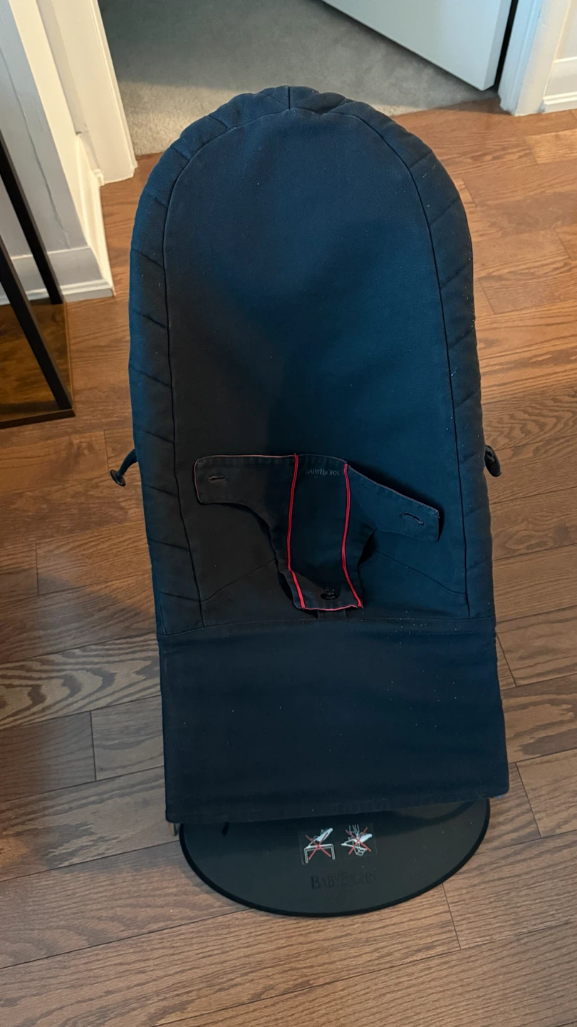 BabyBjorn Bouncer - photo 2