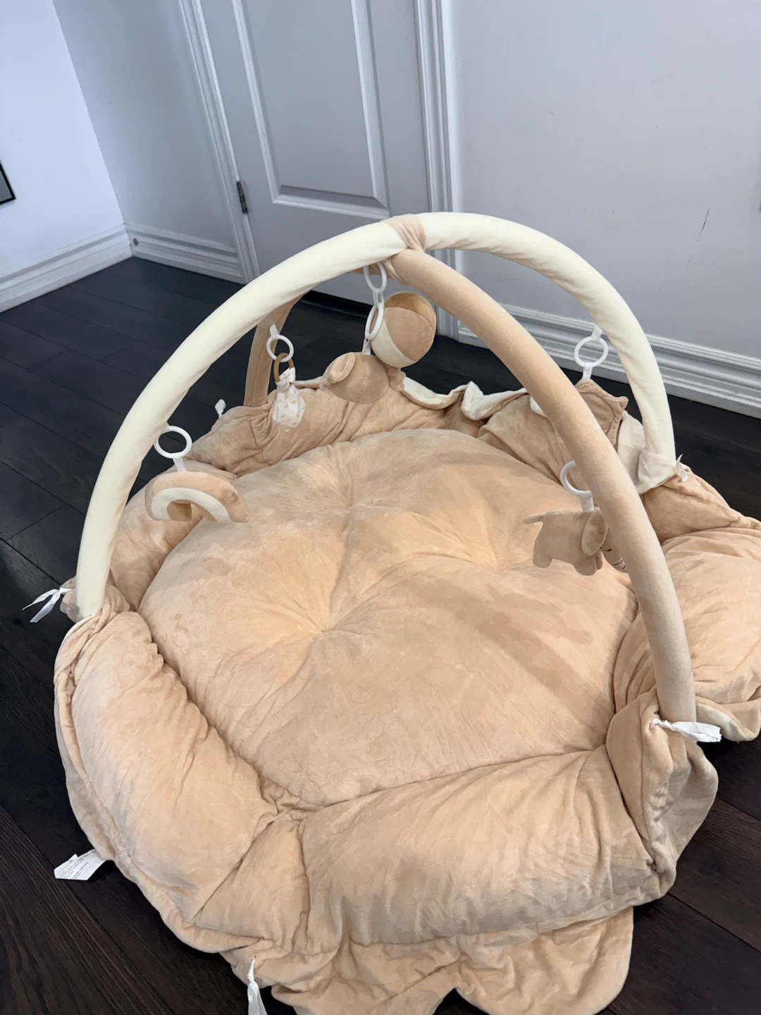 5-in-1 Thick & Plush Play Gym, Convertible Baby Play Mat