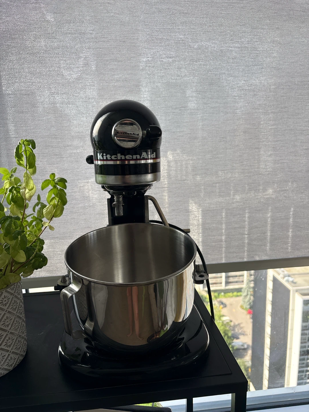 KitchenAid Professional Stand Mixer
