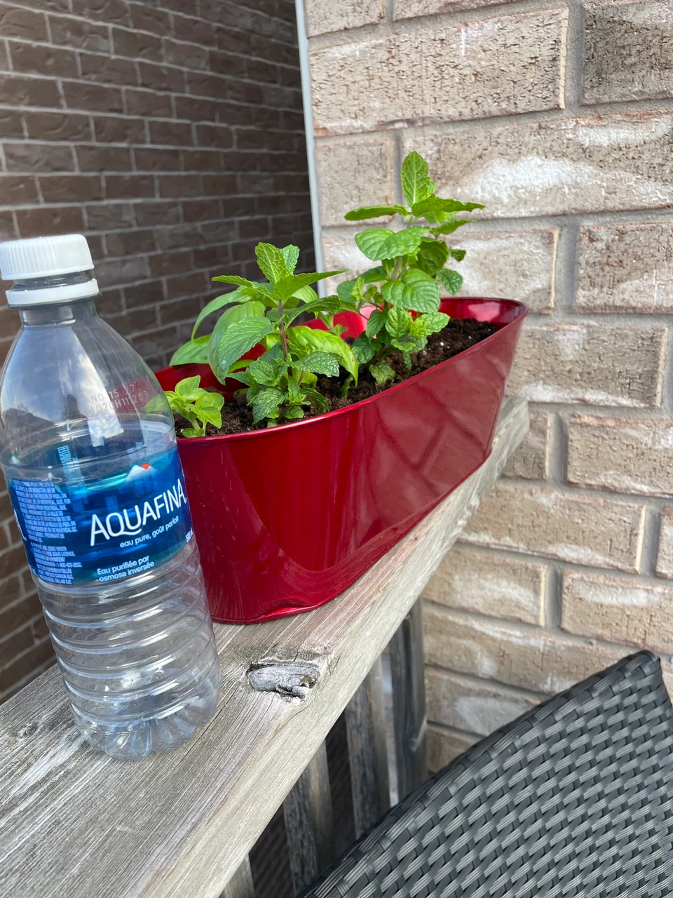 Red metal planter with herbs - photo 4
