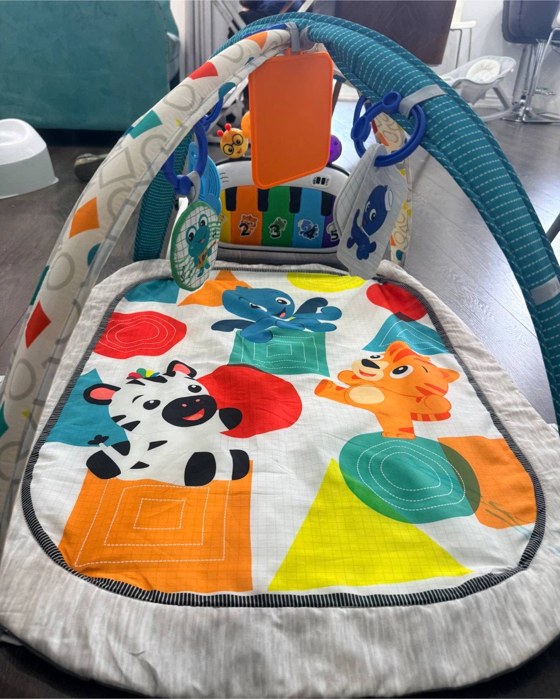 Baby Einstein Musical Play Gym
