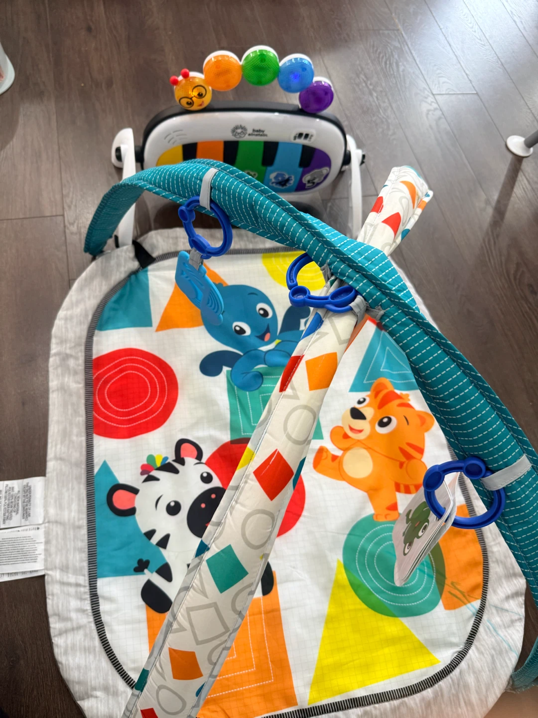 Baby Einstein Musical Play Gym - photo 3