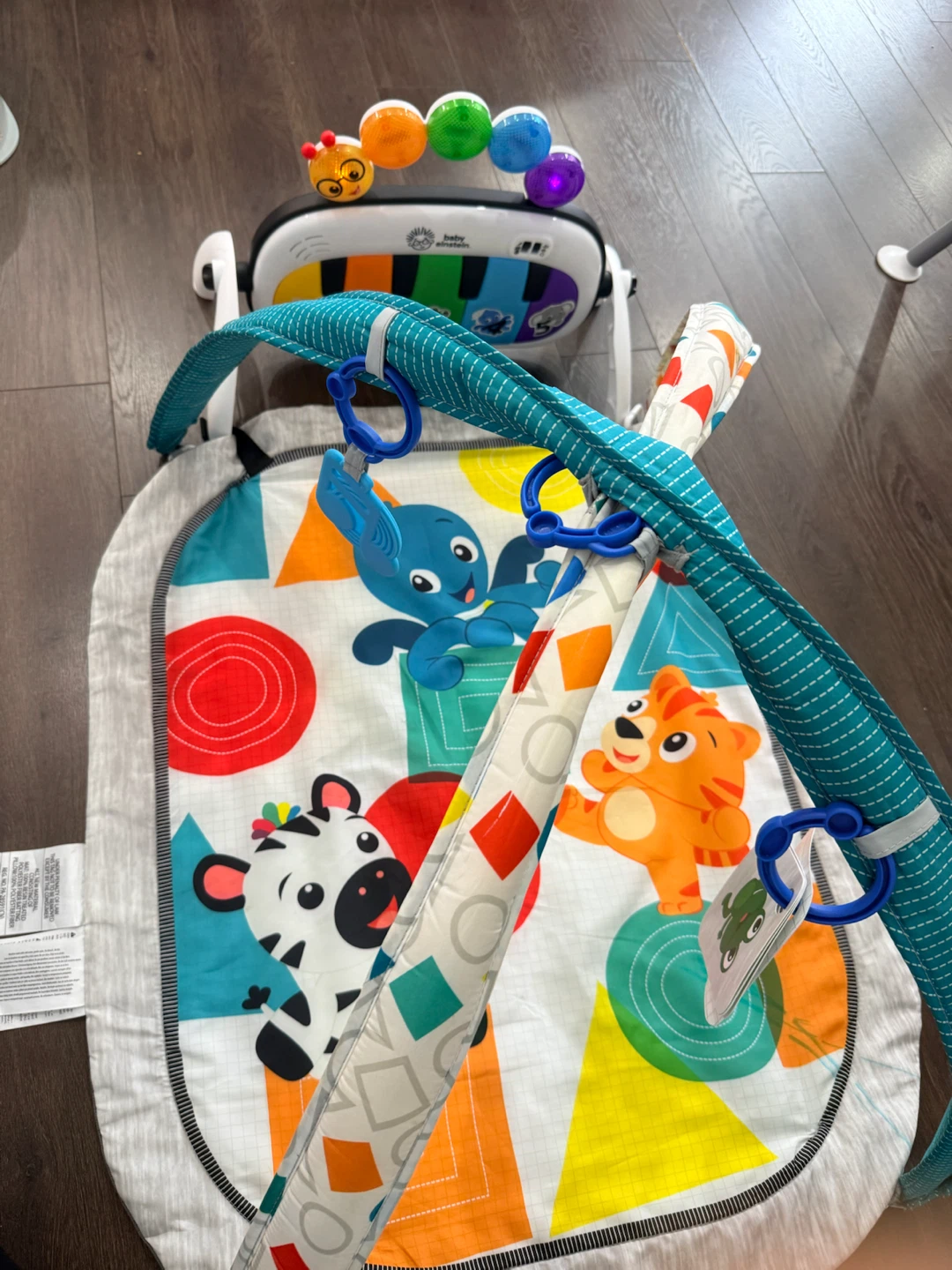 Baby Einstein Musical Play Gym - photo 4