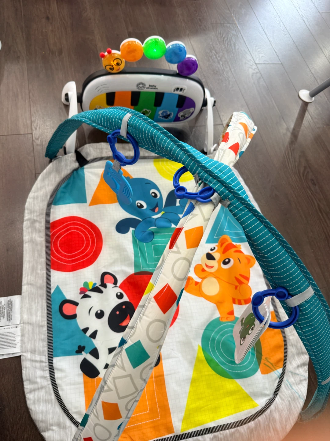 Baby Einstein Musical Play Gym - photo 5