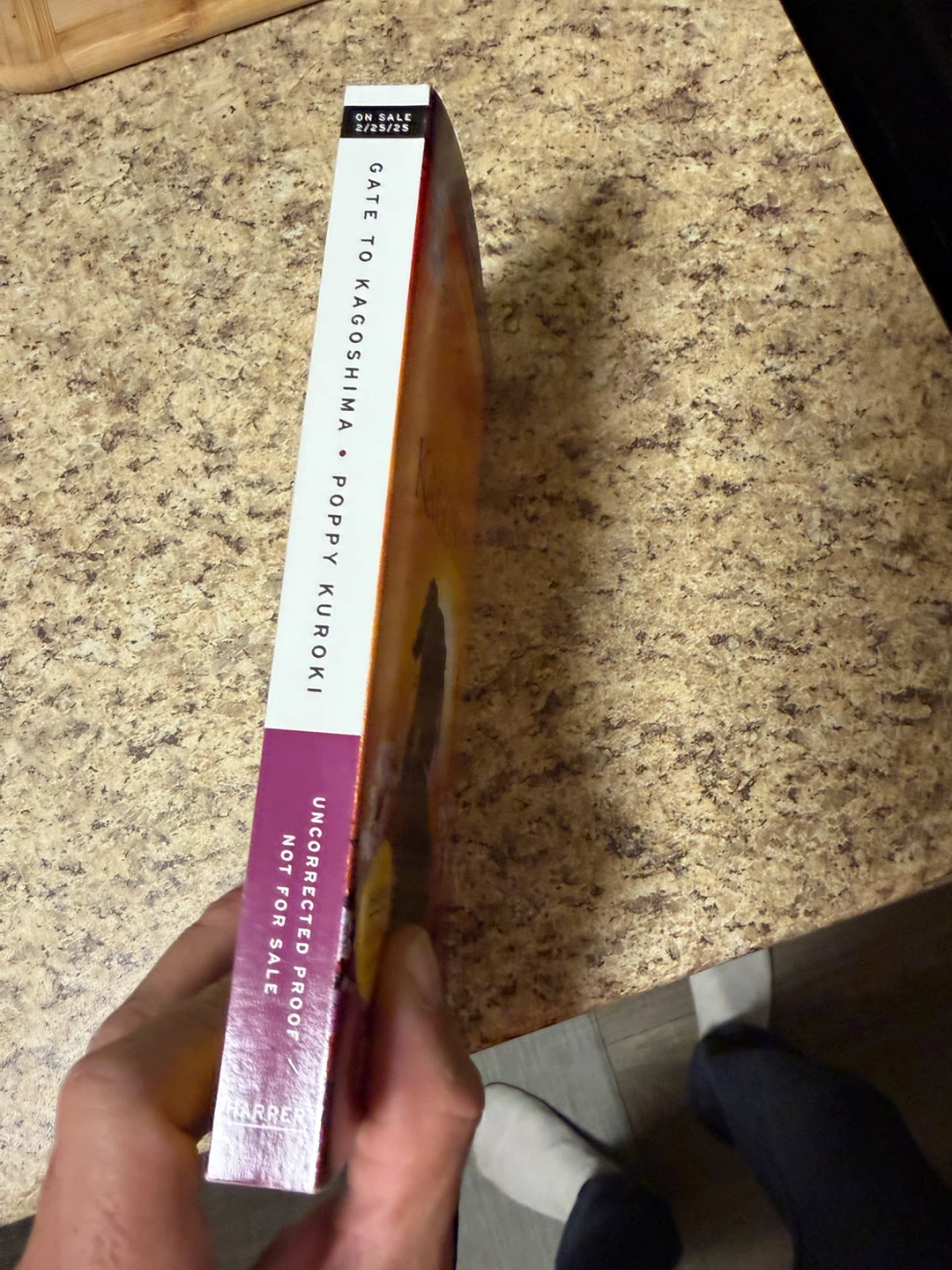 Gate to Kagoshima - Uncorrected Proof - photo 4