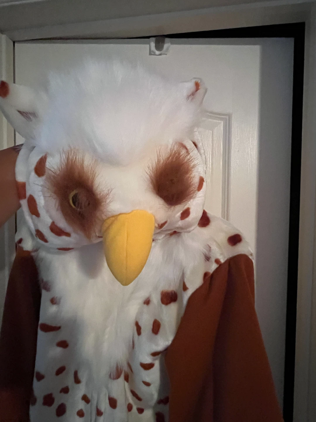 Owl Costume - photo 3