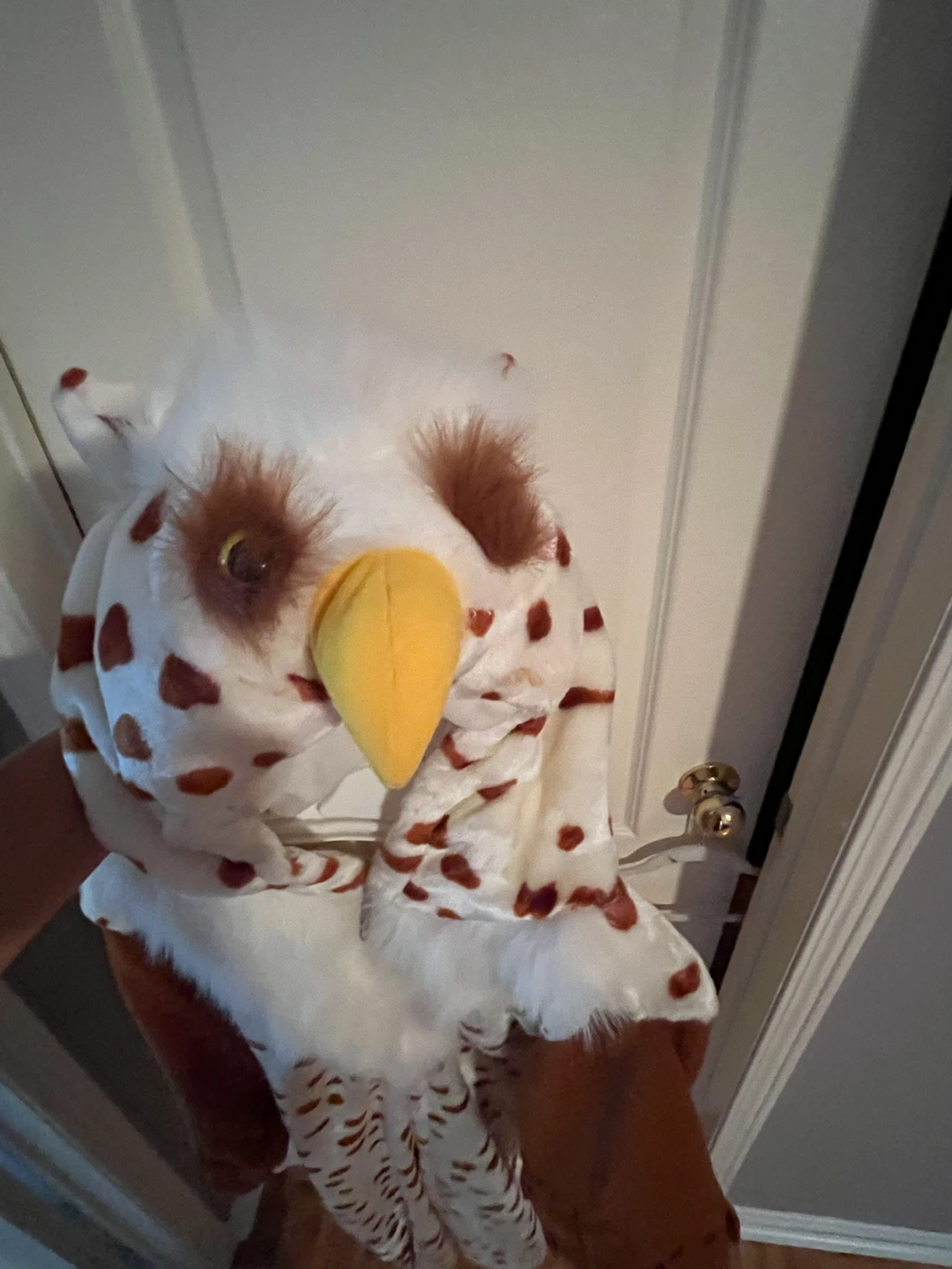 Owl Costume - photo 4