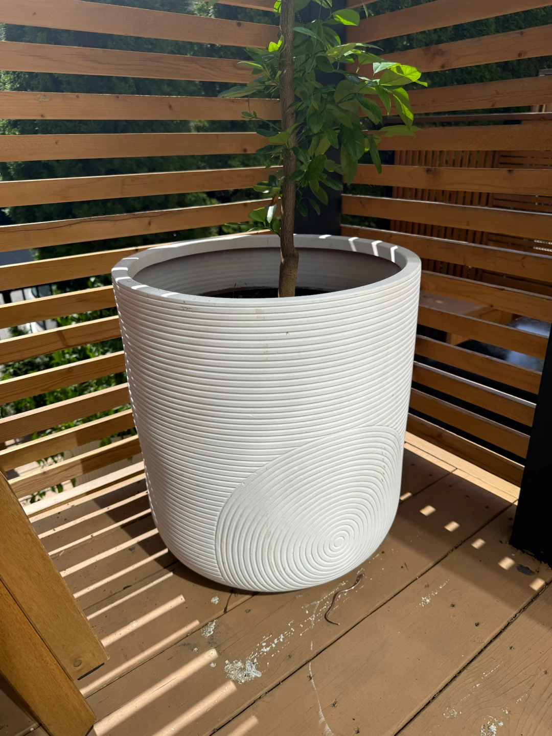 Large white textured CB2 planter - photo 3