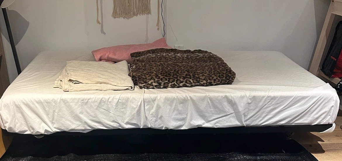 MOVING SALE! Single Bed