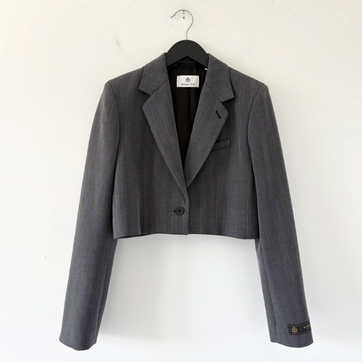 Aritzia Babaton Arbus Blazer