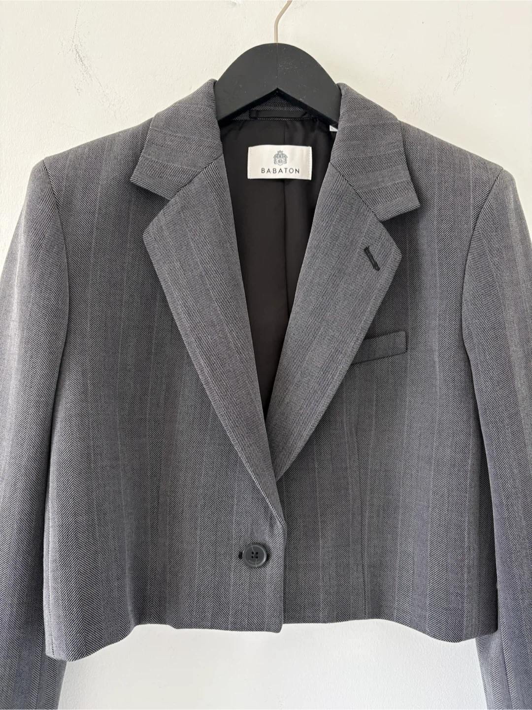 Aritzia Babaton Arbus Blazer - photo 4