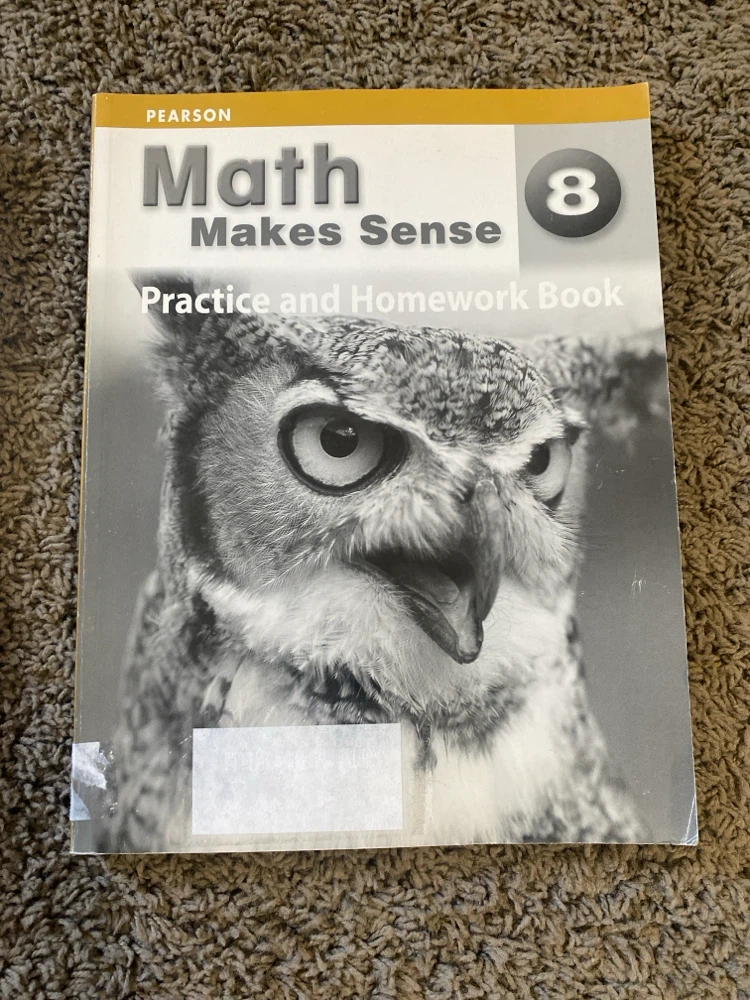 Grade 8 Math Workbooks and Manuals Bundle - photo 3