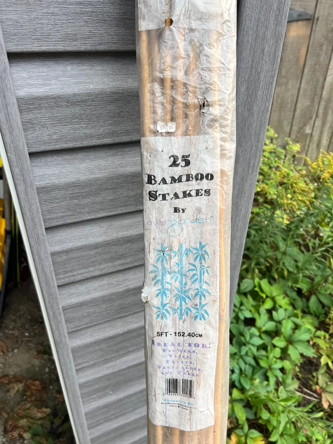 22 Evergarden Bamboo Stakes 5ft