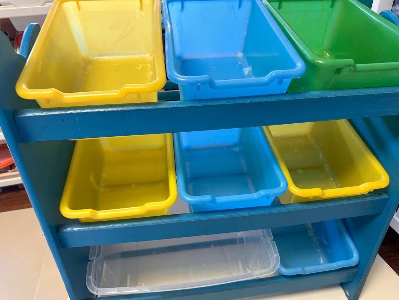 Go Diego Go! Toy Organizer