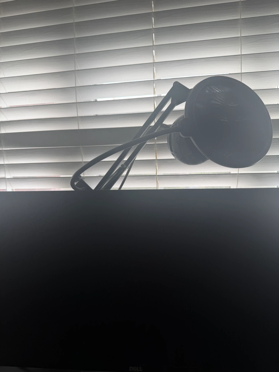 Mic, Mouse, Keyboard, and Monitor - photo 4