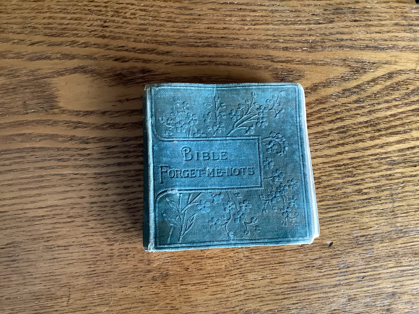 Late 1800’s Bible Forget-Me-Nots Divine Promises by JR Macduff 🐞