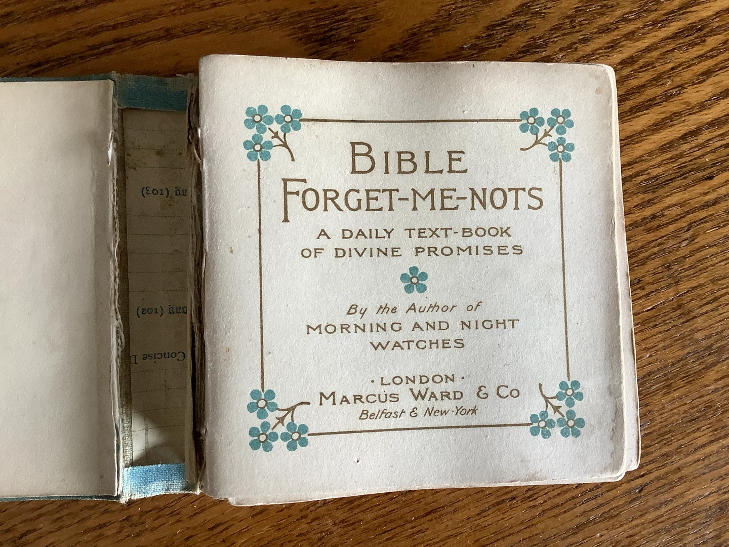 Late 1800’s Bible Forget-Me-Nots Divine Promises by JR Macduff 🐞 - photo 2
