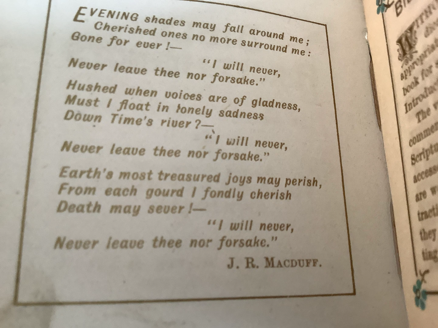 Late 1800’s Bible Forget-Me-Nots Divine Promises by JR Macduff 🐞 - photo 3
