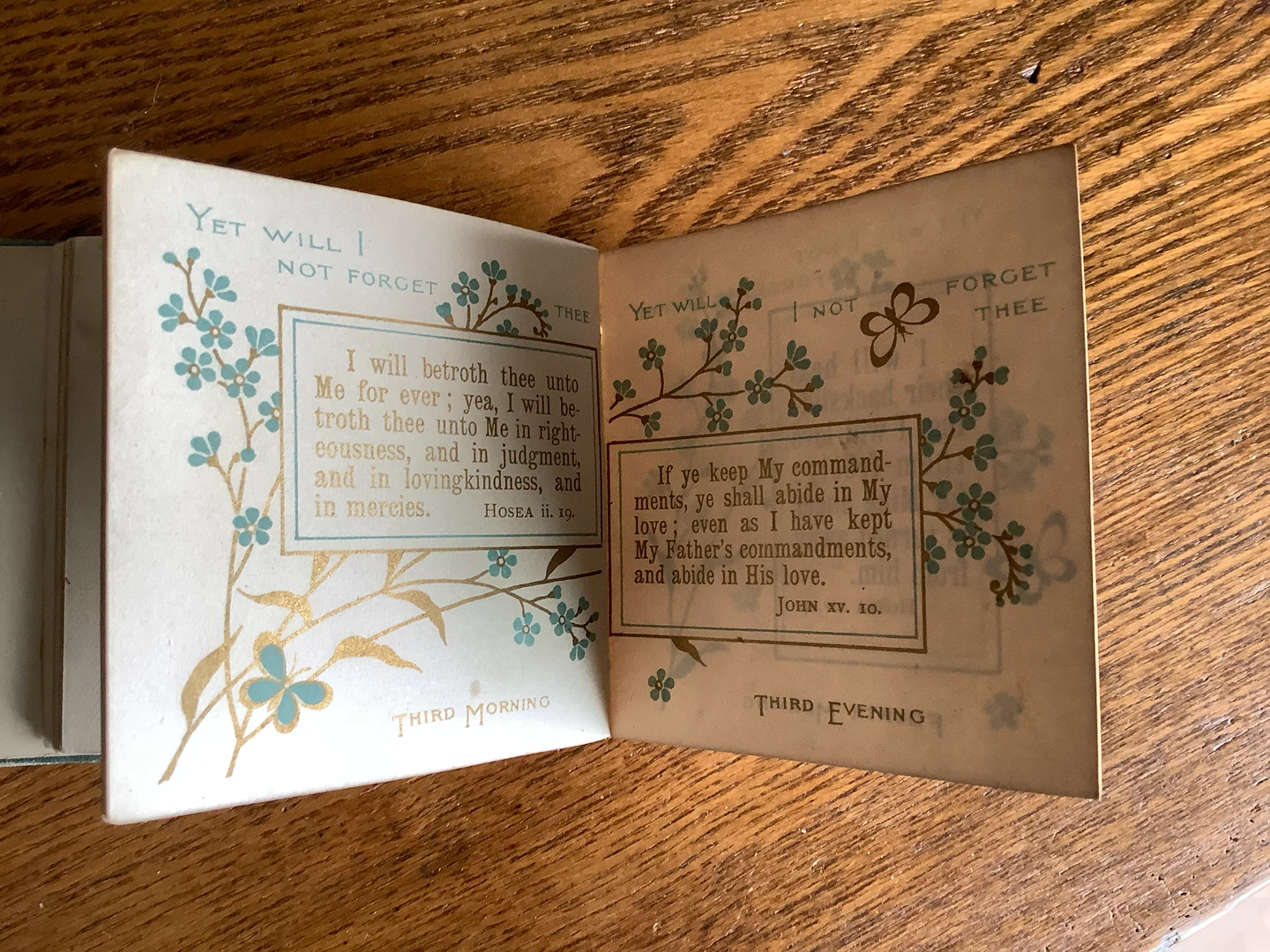 Late 1800’s Bible Forget-Me-Nots Divine Promises by JR Macduff 🐞 - photo 5