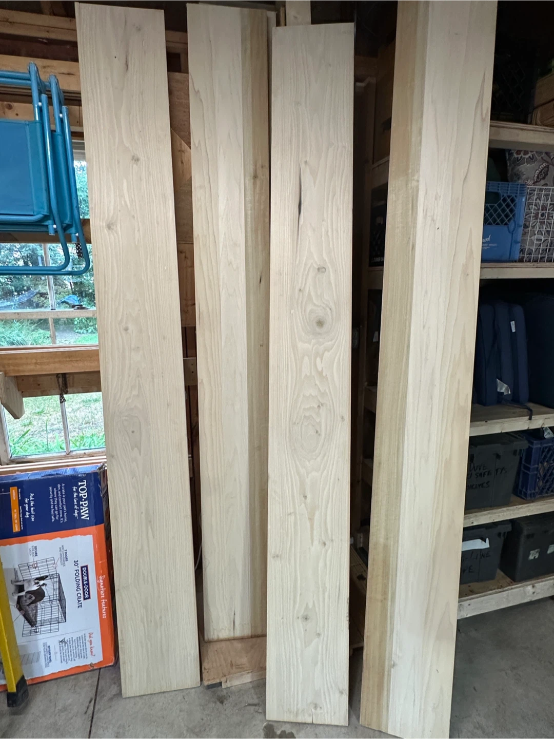 Poplar wood