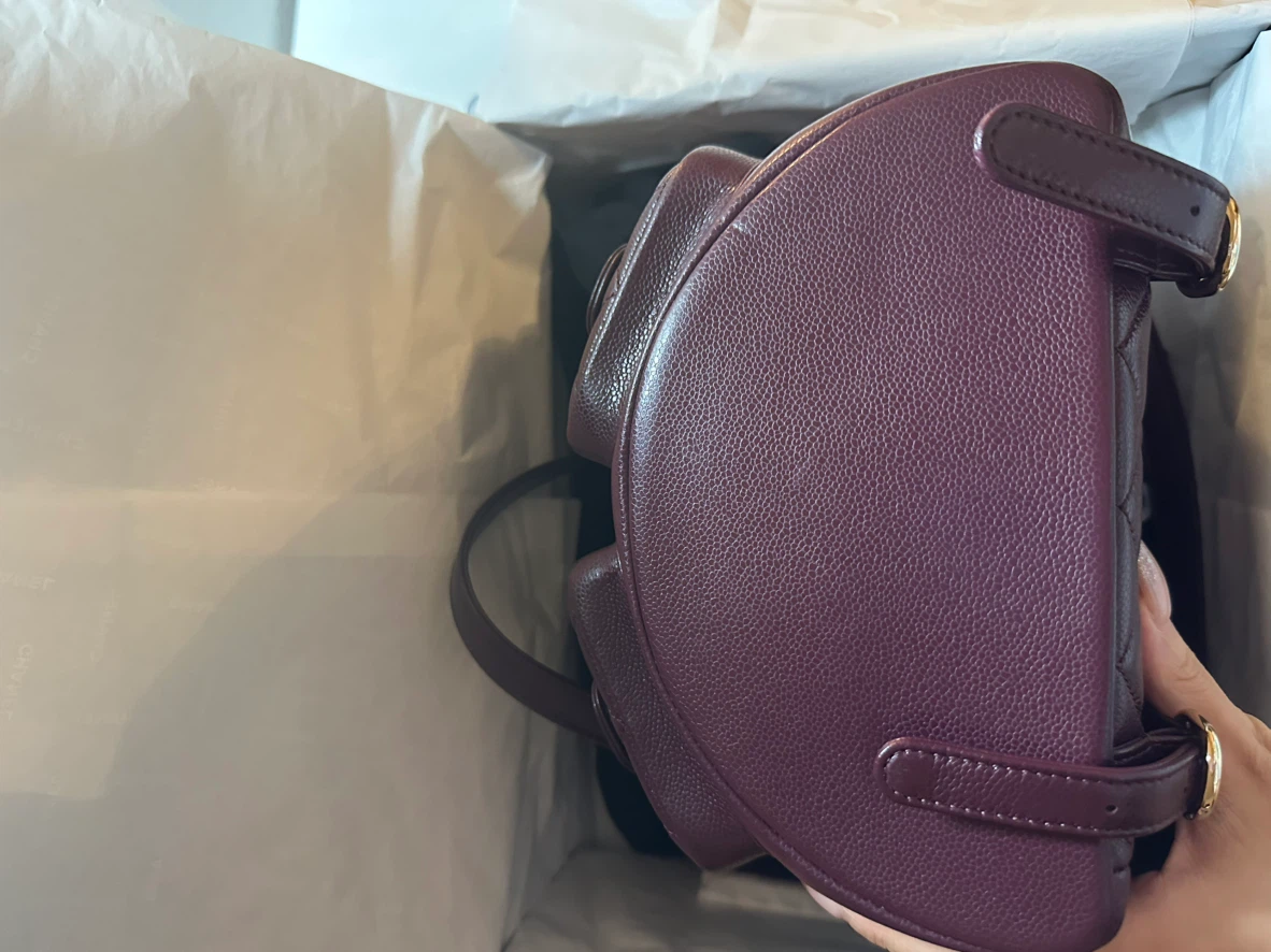 Chanel small duma backpack - photo 3