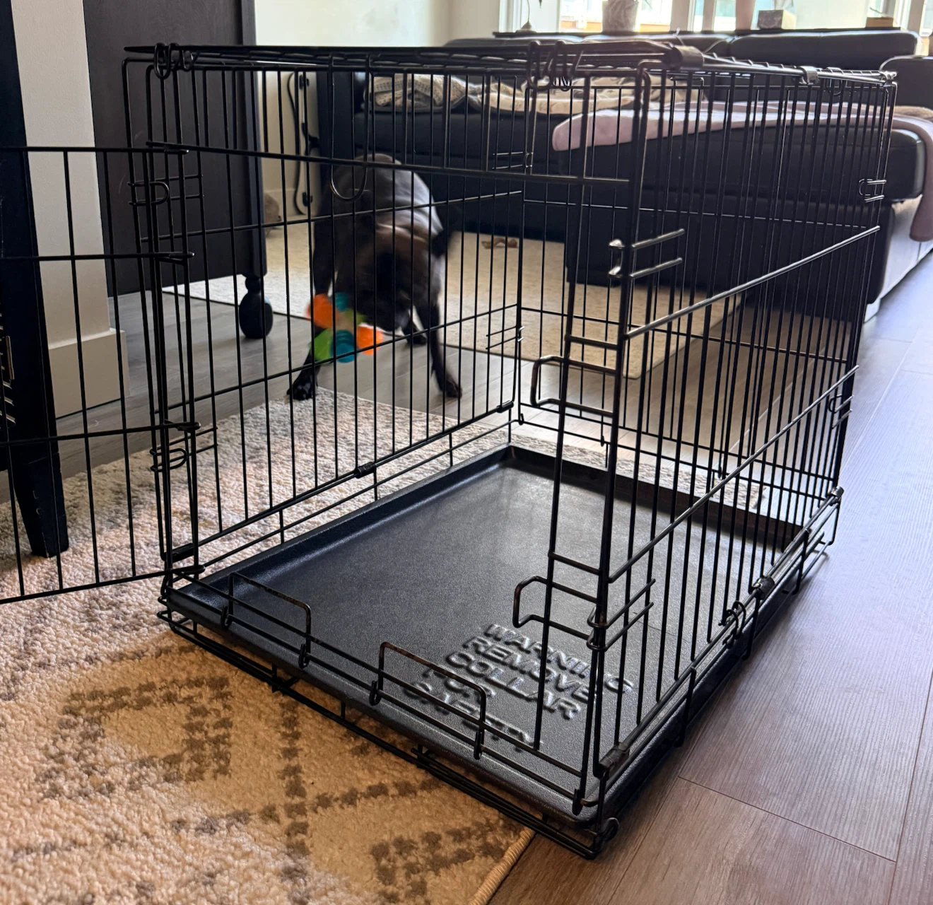 Petmate Foldable Wire Dog Crate - photo 3