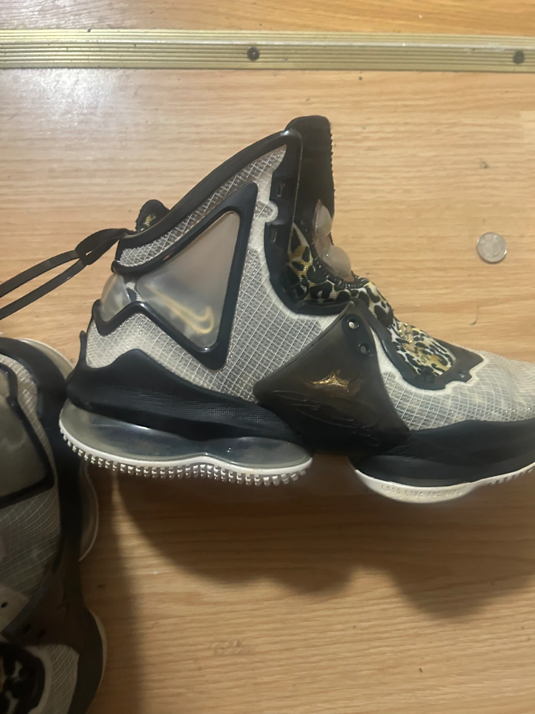 Nike LeBron 9 Basketball Shoes