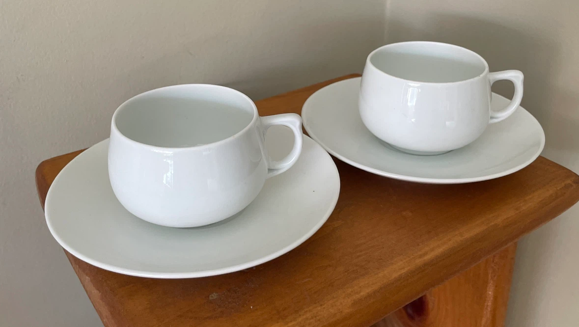 MZ Altrohlau Porcelain Cup and Saucer Set