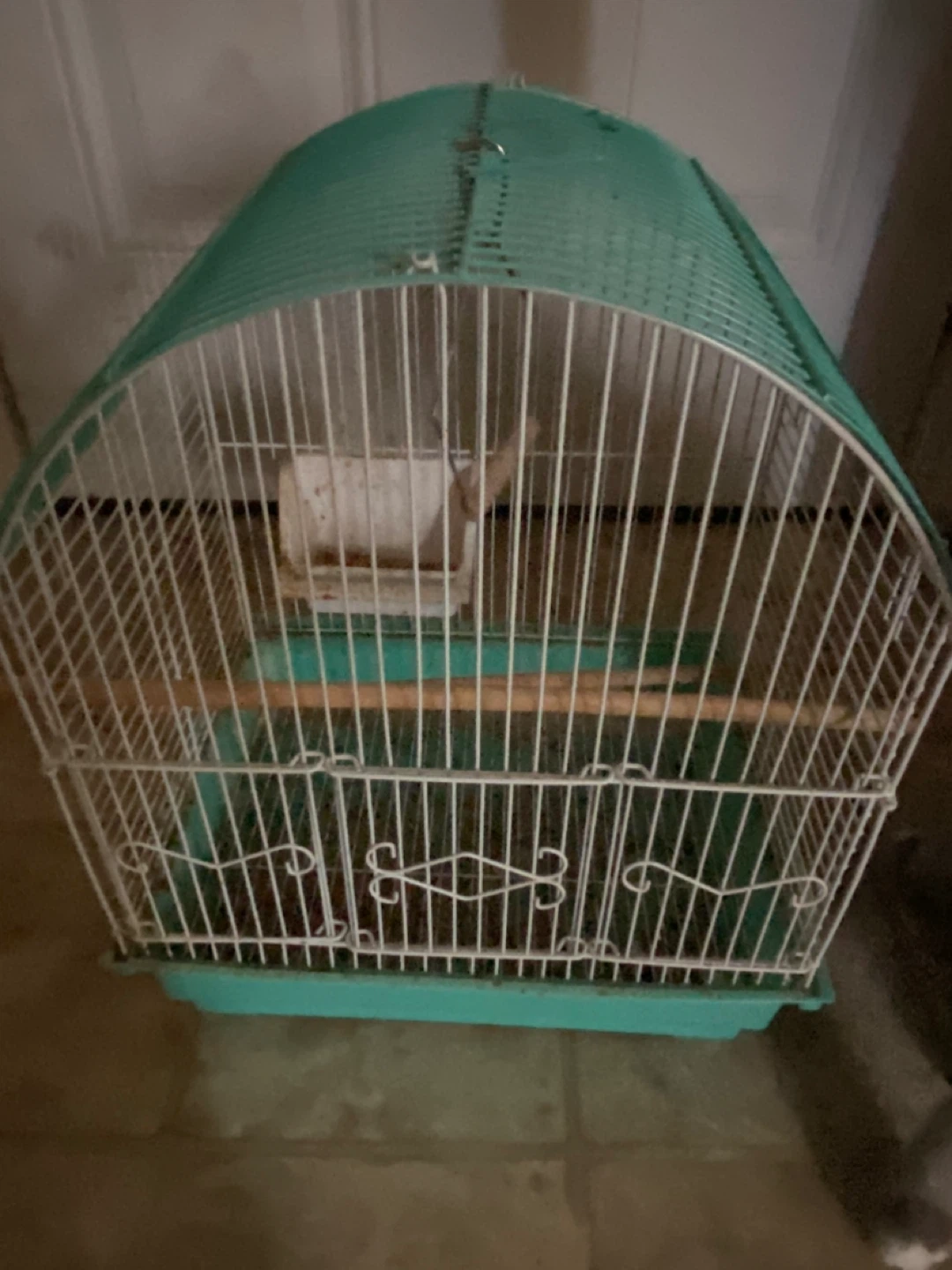 Dome Top Bird Cage - Teal and White