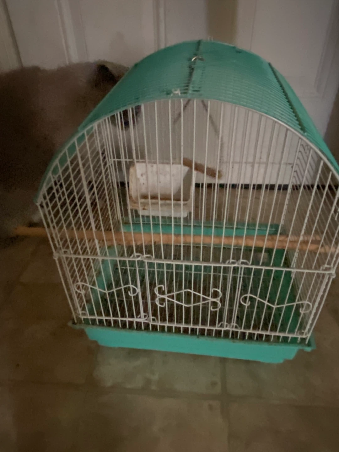 Dome Top Bird Cage - Teal and White - photo 2