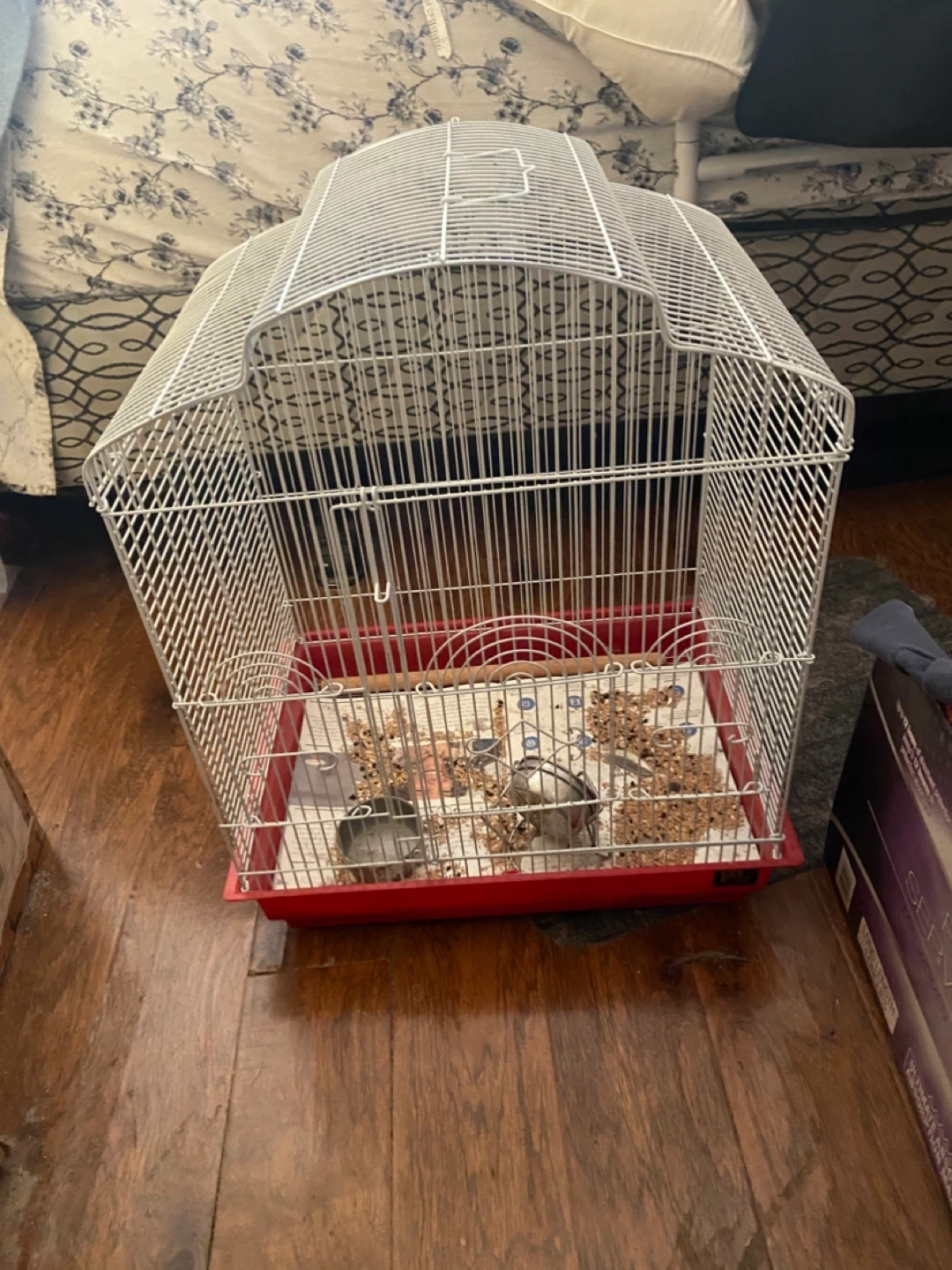 White Bird Cage with Red Base