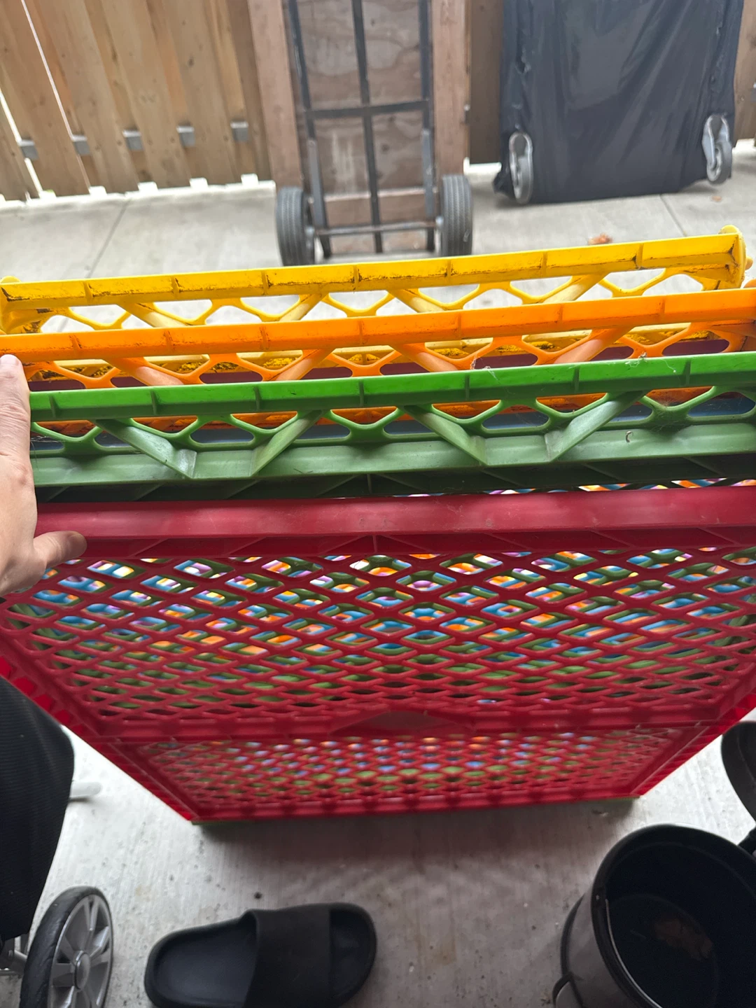 Set of 4 Collapsible Plastic Crates