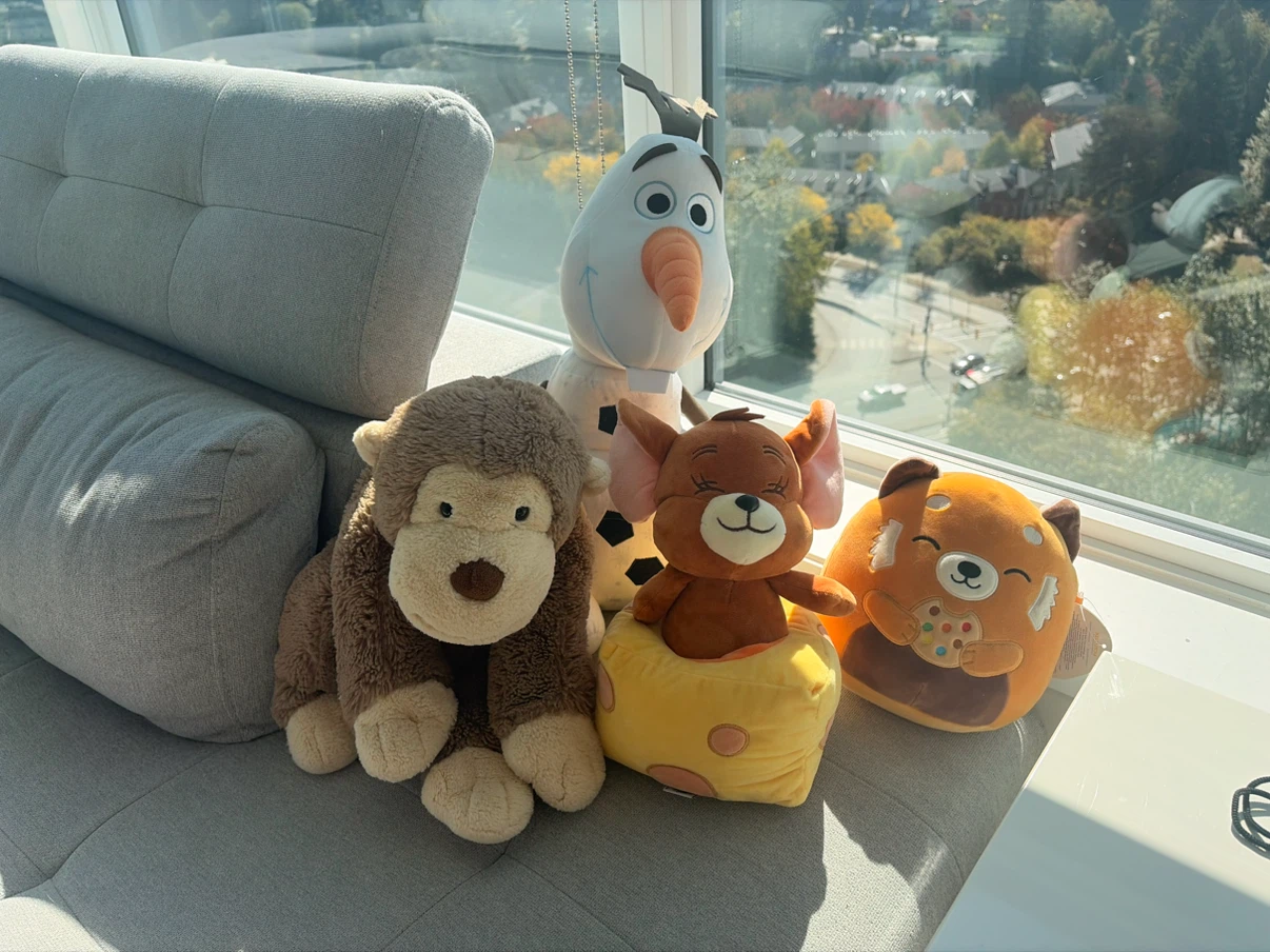 Assorted Plush Toys - photo 2