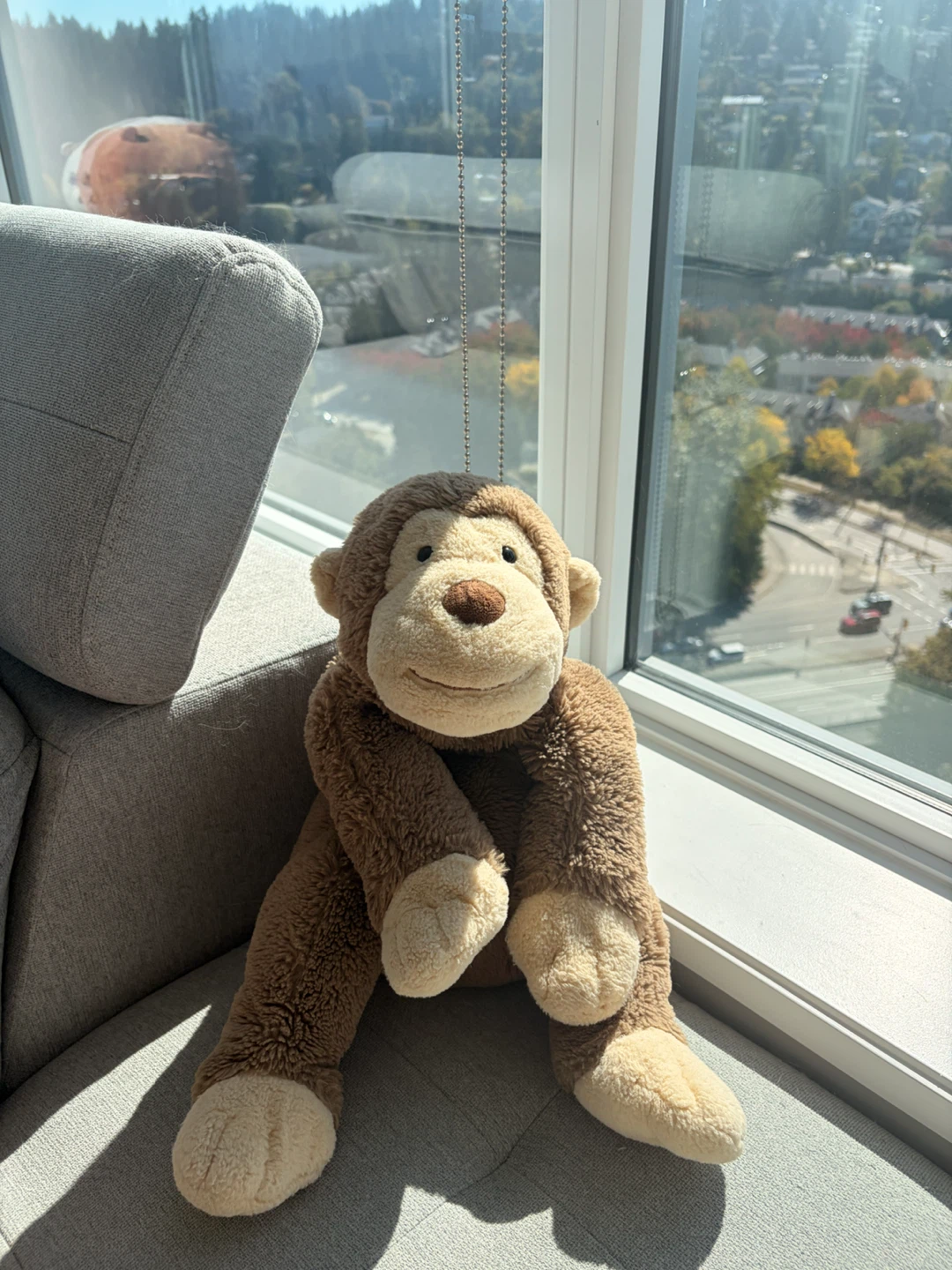 Assorted Plush Toys - photo 5