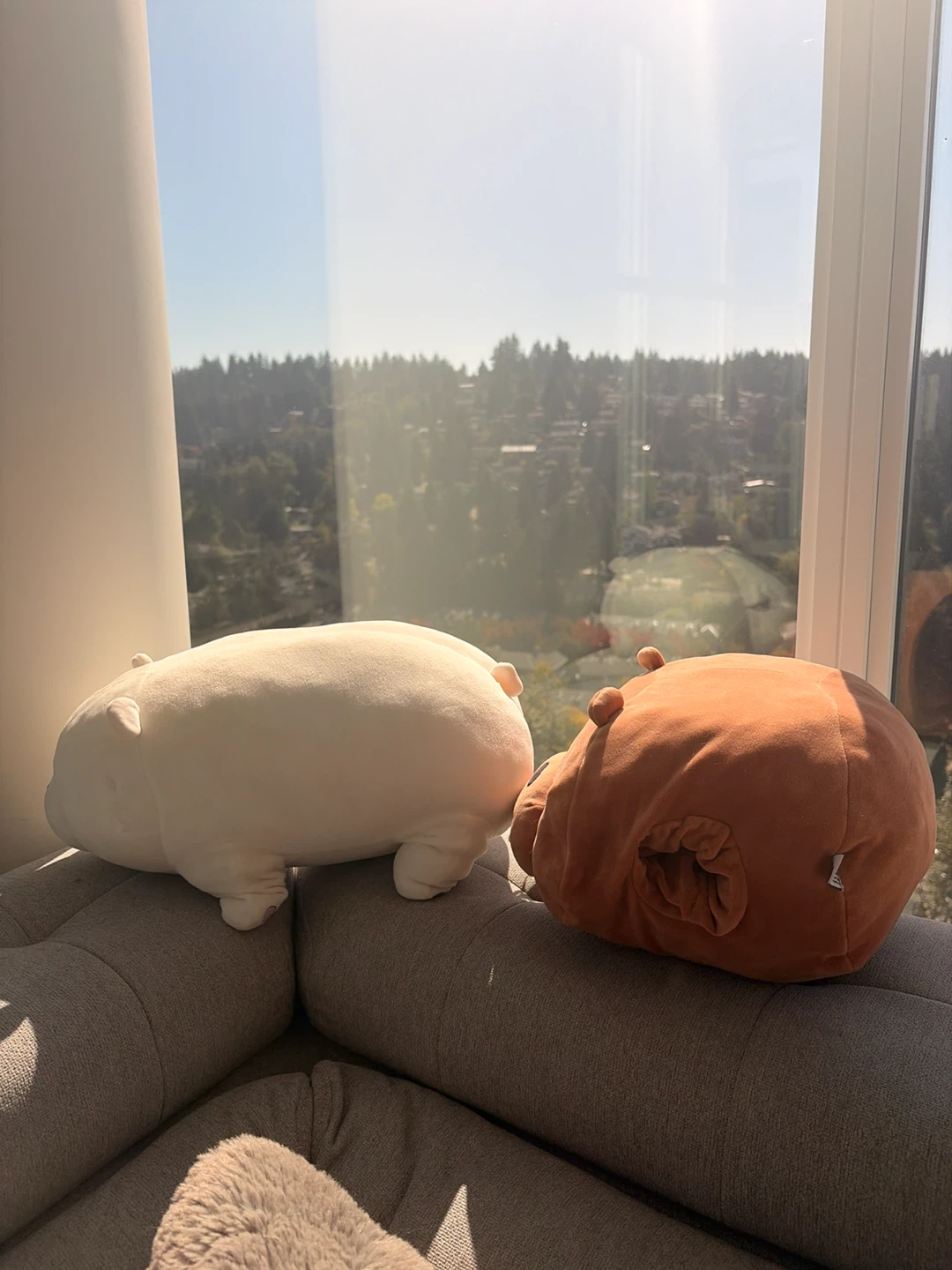 We Bare Bears Plush / Pillow Hand Warmers - photo 2