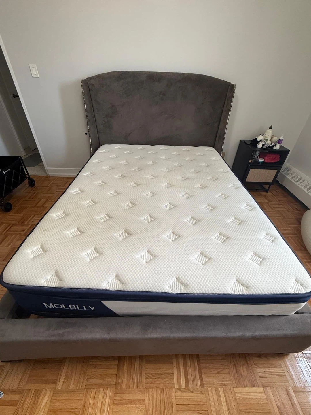 Molblly Queen Bed Set with Upholstered Wingback Headboard