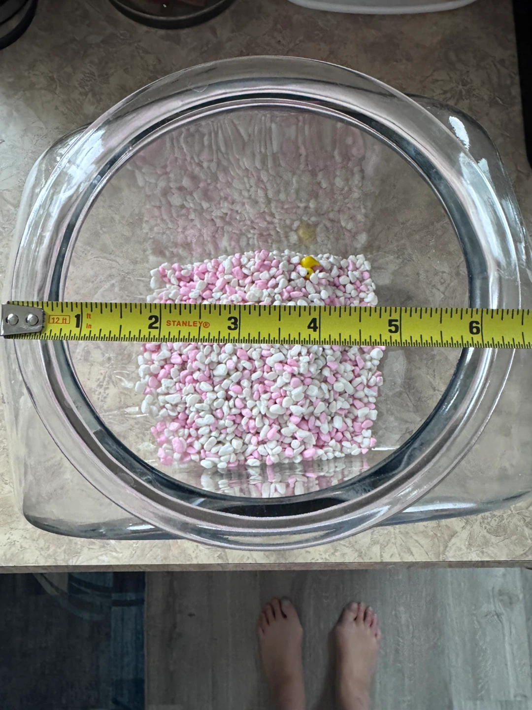 Large Round Glass Fish Bowl - photo 3
